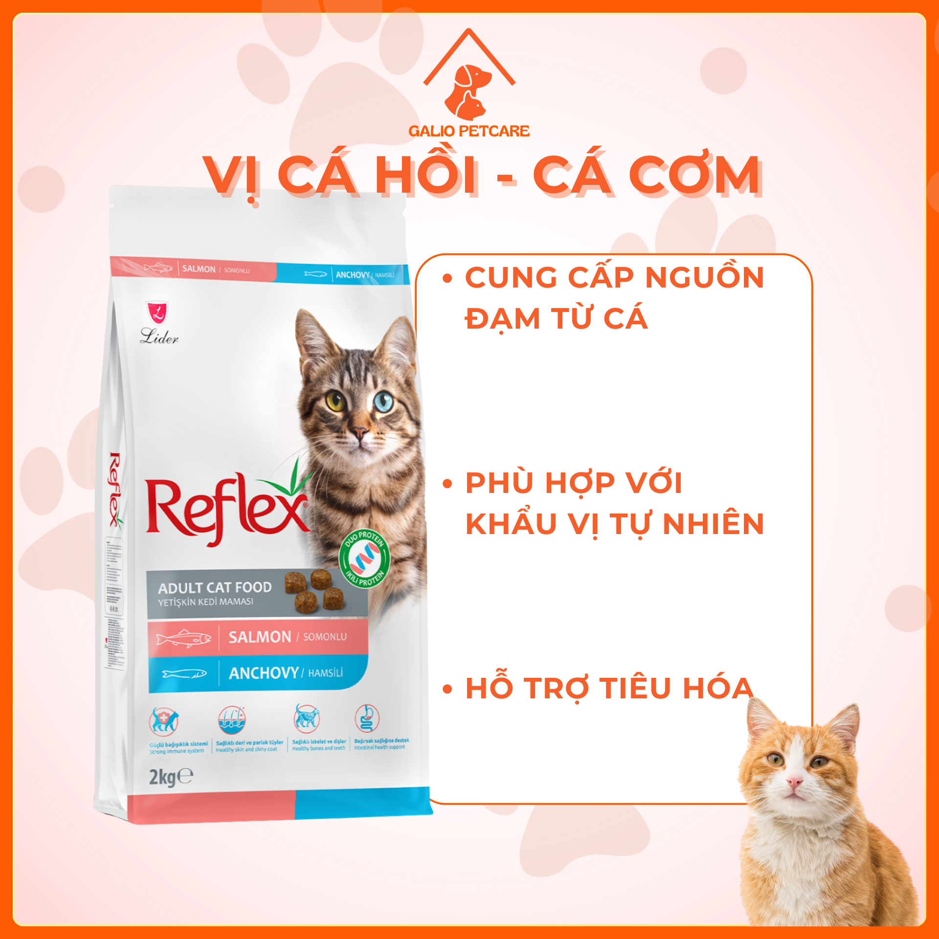 CÁ HỒI CÁ CƠM