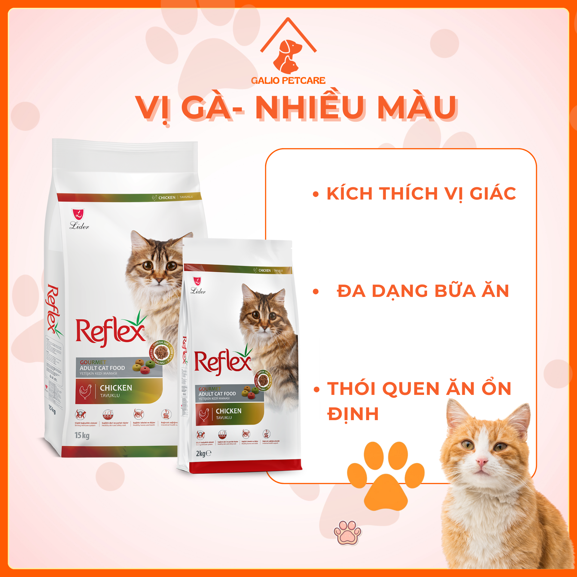 NHIỀU MÀU