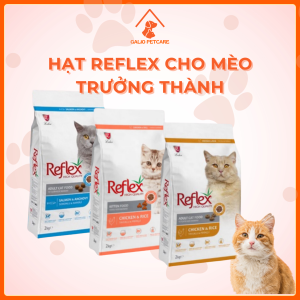 HẠT REFLEX DÀNH CHO MÈO TRƯỞNG THÀNH