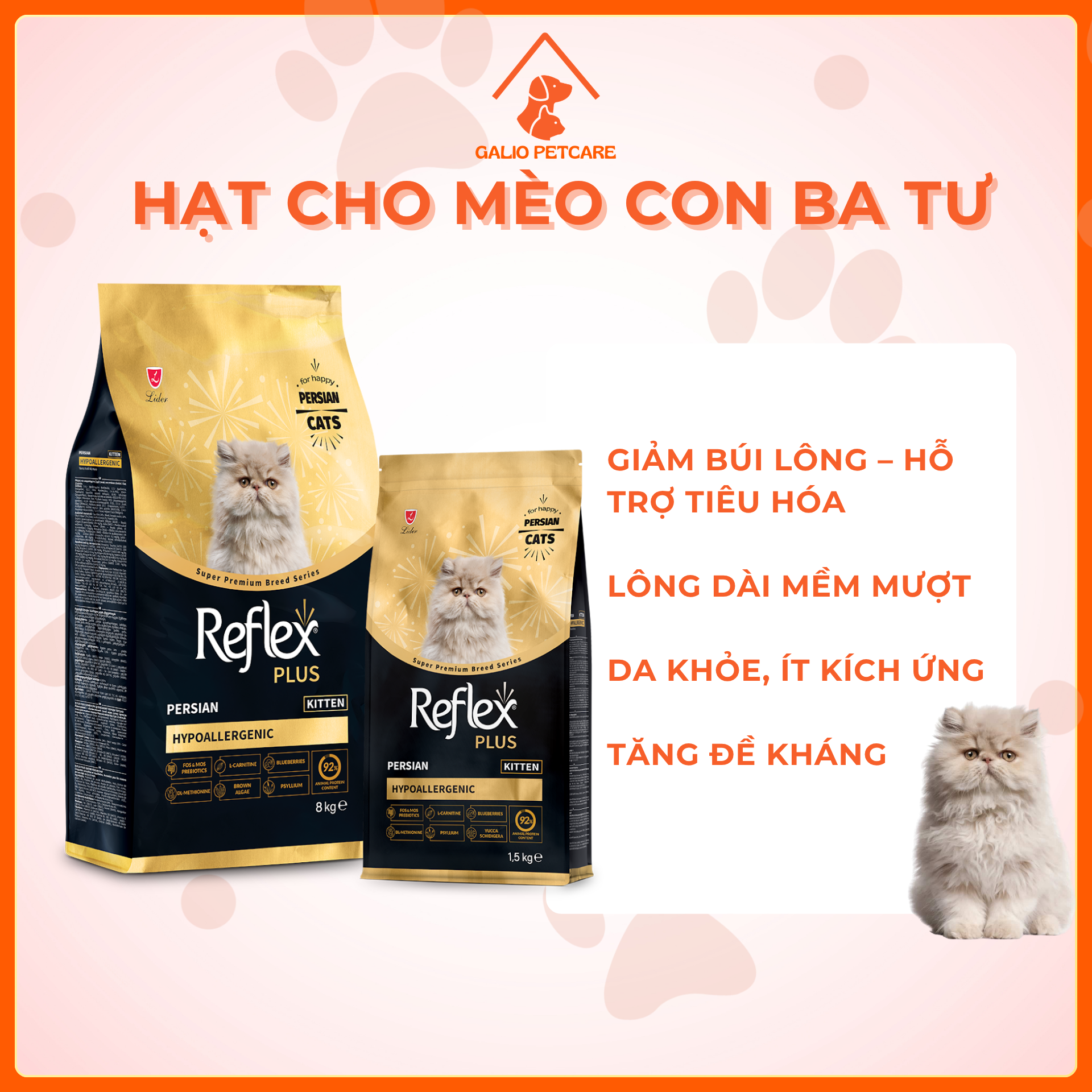 mèo Ba Tư