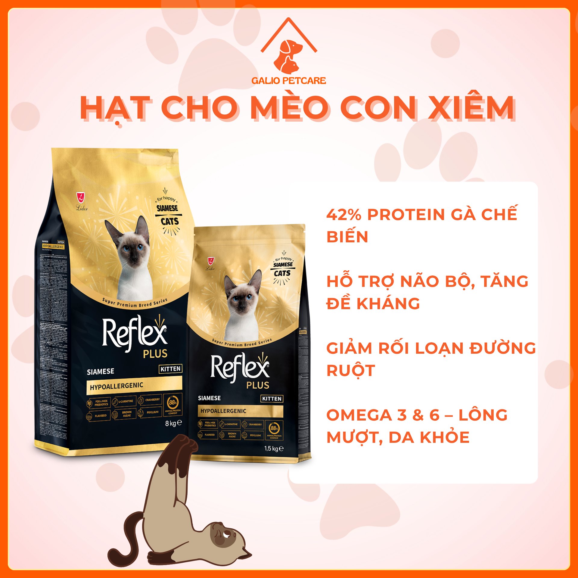 mèo Xiêm